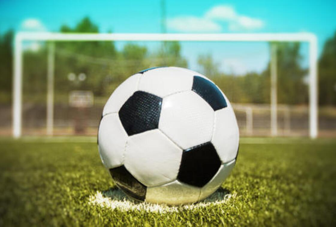 学术研究数据支持